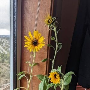 Meet your Posher, Brad